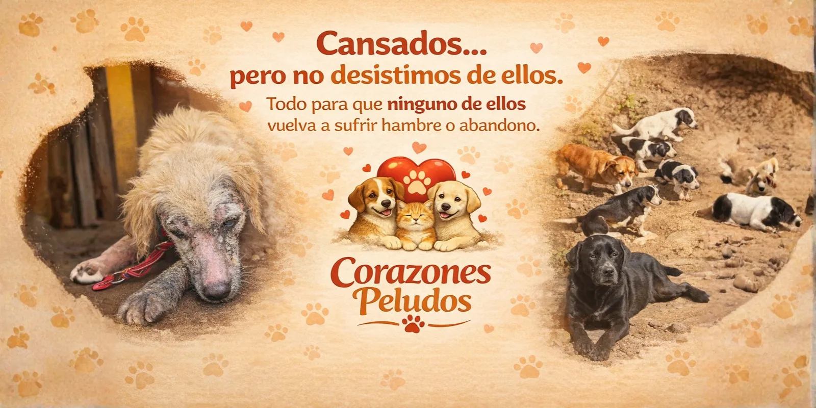 Banner Corazones Peludos