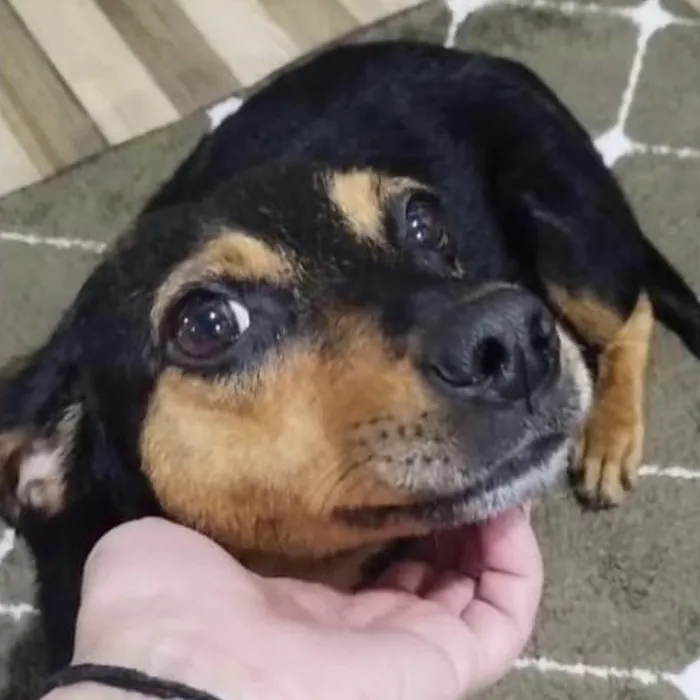 Luna después